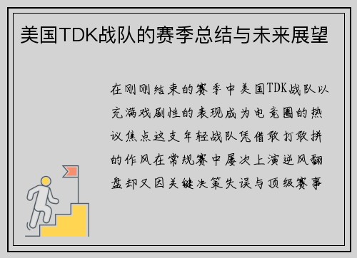 美国TDK战队的赛季总结与未来展望